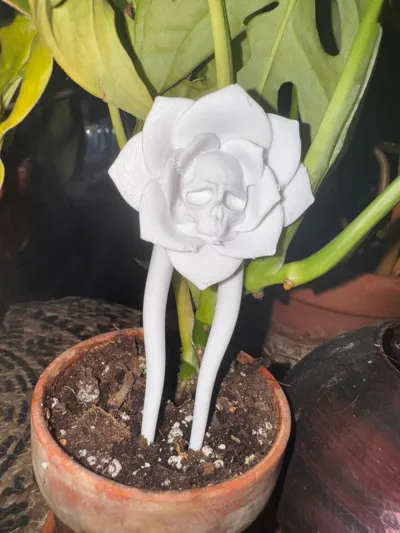 https://makerworld.bblmw.com/makerworld/model/1388491/1438346/ratings/e93dff60-eb54-11f0-a070-774aa880d36a.jpg