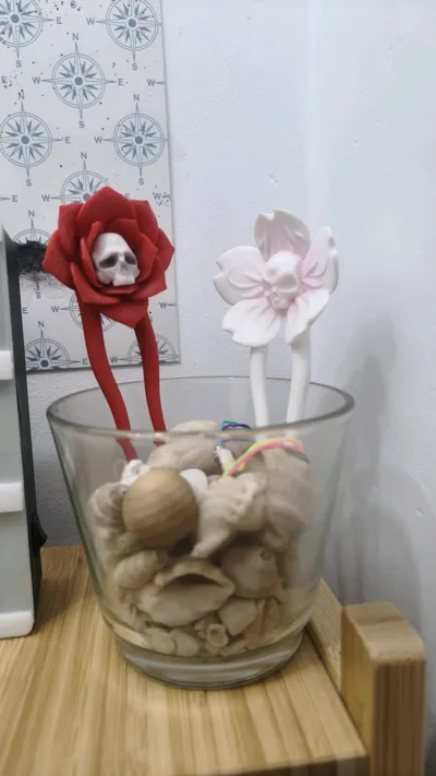 https://makerworld.bblmw.com/makerworld/model/1388491/1443166/ratings/1992c580-4bad-11f0-8235-65f9c50dab7c.jpg