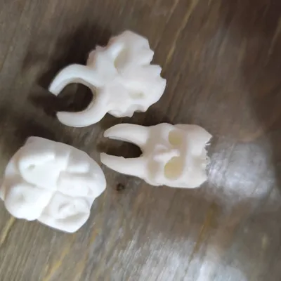 https://makerworld.bblmw.com/makerworld/model/1388568/1438444/ratings/c8360480-9c52-11f0-9959-3f965f78a6e8.jpg
