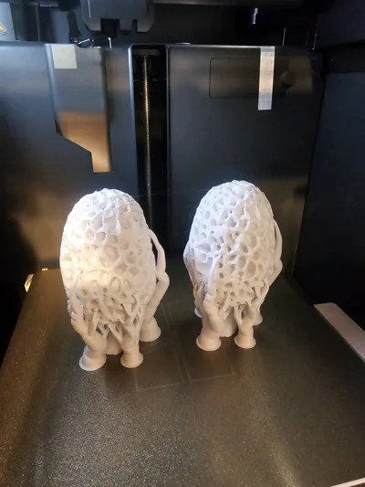 https://makerworld.bblmw.com/makerworld/model/1389149/1439116/ratings/d8d58ae0-8c49-11f0-ac32-71df252a5a70.jpg