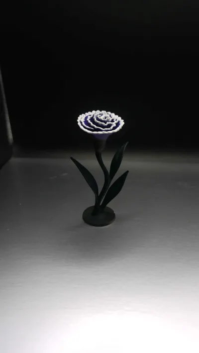 https://makerworld.bblmw.com/makerworld/model/1389212/1439189/ratings/c359ae80-eb9e-11f0-bb55-59e14dd11c9f.jpg