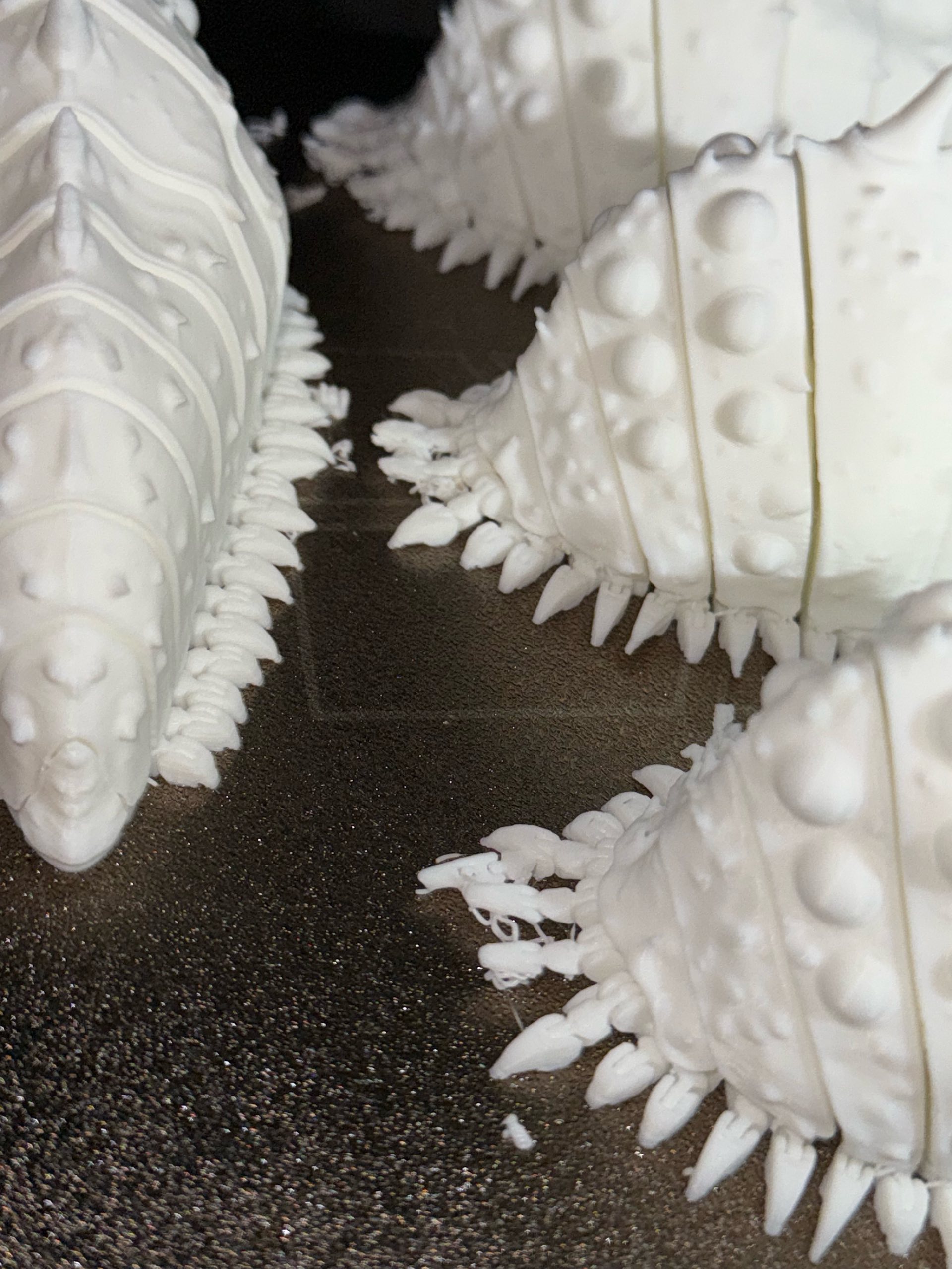 3Dプリント 王蟲｜ジブリ｜風の谷のナウシカ - 無料3Dモデル -MakerWorld