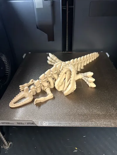 https://makerworld.bblmw.com/makerworld/model/1389480/1439508/ratings/318a32d0-60d0-11f0-bc32-bbe0aa1b641a.jpg