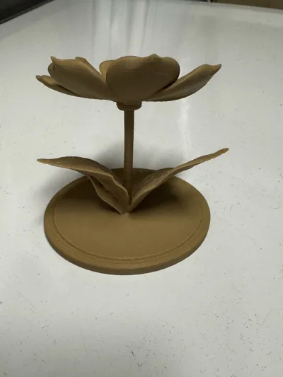 https://makerworld.bblmw.com/makerworld/model/1389646/1439676/ratings/4d17a4e0-871a-11f0-8938-9b6fbafe9b1d.jpg