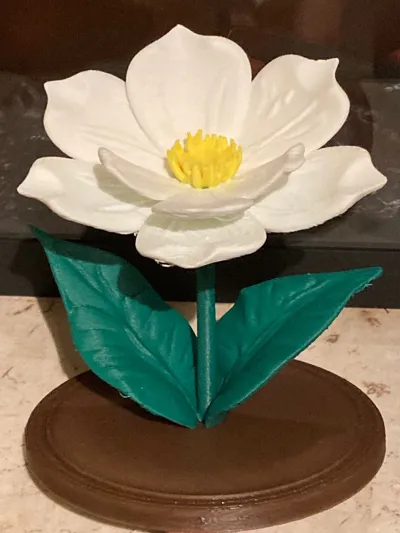 https://makerworld.bblmw.com/makerworld/model/1389646/1439676/ratings/b8817430-3748-11f0-b02c-012078a3ac81.jpg