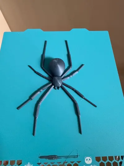 https://makerworld.bblmw.com/makerworld/model/13900/23252/ratings/c30eb0d0-9962-11f0-af5e-c93b6546dc7e.jpg