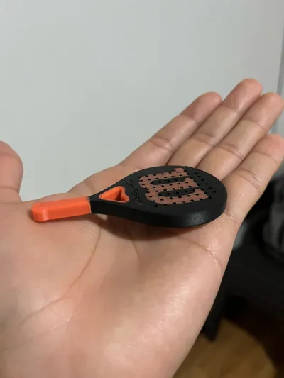 https://makerworld.bblmw.com/makerworld/model/1390370/1440469/ratings/c3d13c70-b29b-11f0-a283-87b51d834bb7.jpg
