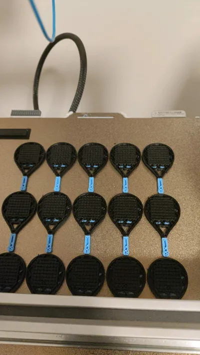 https://makerworld.bblmw.com/makerworld/model/1390370/1440480/ratings/340c2b30-822c-11f0-a96f-f7121a533ee1.jpg