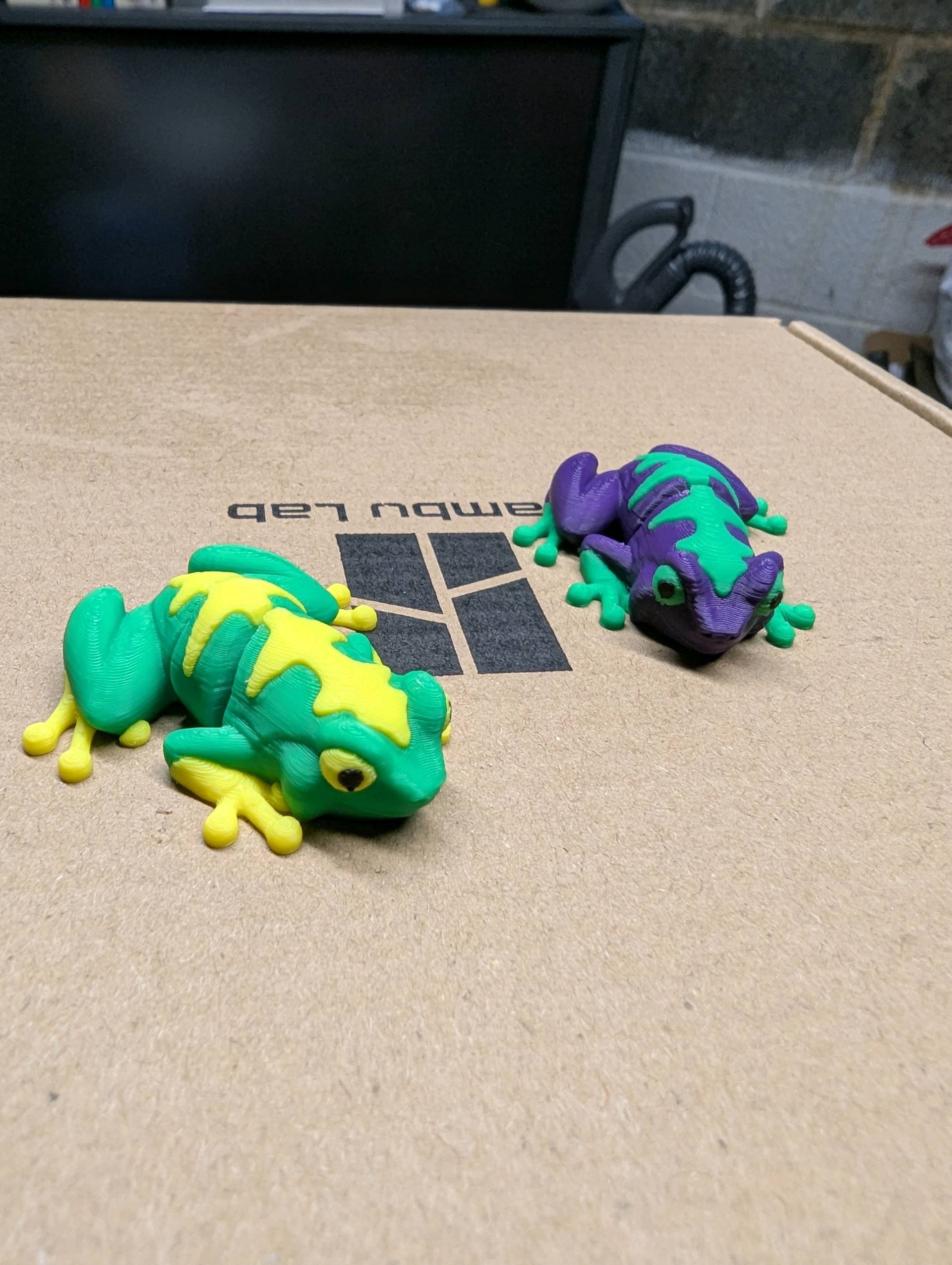 舞台FROGS FROGS