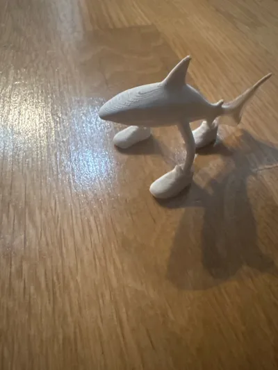 https://makerworld.bblmw.com/makerworld/model/1391293/1441543/ratings/cbf49b70-3dd1-11f0-ab1d-2709f350266d.jpg