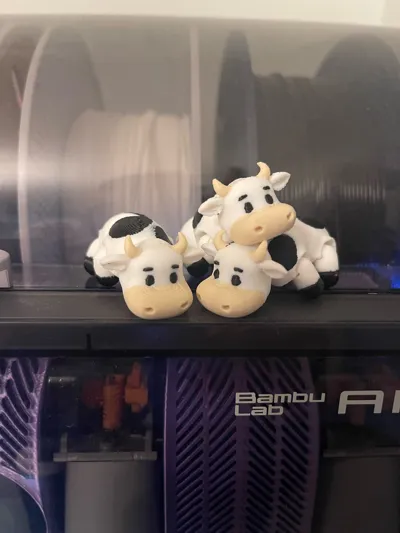 https://makerworld.bblmw.com/makerworld/model/1391489/1441784/ratings/d96b6010-bd0e-11f0-a86e-79fa083a1d3d.jpg