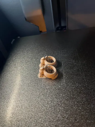 https://makerworld.bblmw.com/makerworld/model/1392145/1449589/ratings/01587ad0-f2df-11f0-b206-939d90d48b06.jpg