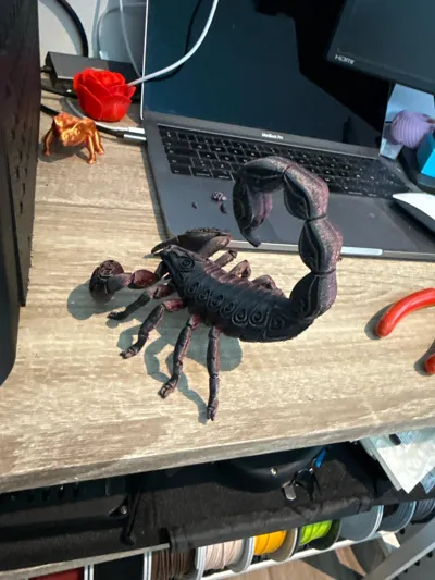 https://makerworld.bblmw.com/makerworld/model/1393465/1444097/ratings/b29ed3b0-42e6-11f0-879d-d38d0f42307f.jpg
