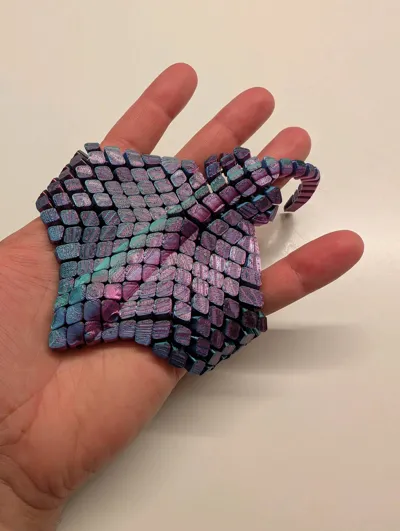 https://makerworld.bblmw.com/makerworld/model/1394031/1444776/ratings/335414c0-52d7-11f0-9457-7393dfcfe826.jpg