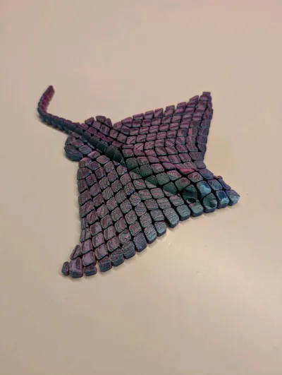 https://makerworld.bblmw.com/makerworld/model/1394031/1444776/ratings/3354d810-52d7-11f0-9457-7393dfcfe826.jpg