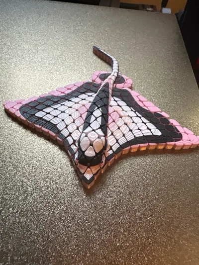https://makerworld.bblmw.com/makerworld/model/1394031/1444776/ratings/dd899100-3a8f-11f0-8d9e-a334ef56db27.jpg