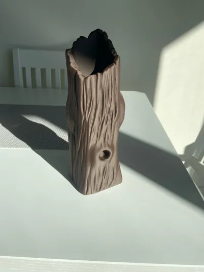 https://makerworld.bblmw.com/makerworld/model/1394329/1445079/ratings/709f5e30-9c73-11f0-9a79-3d4d1520975f.jpg