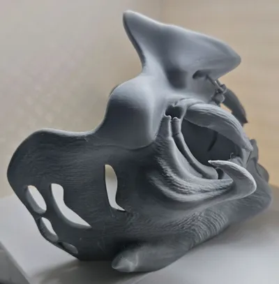 https://makerworld.bblmw.com/makerworld/model/1394992/1445847/ratings/28ba08c0-9aa4-11f0-a0ea-61d54b27c5d5.jpg