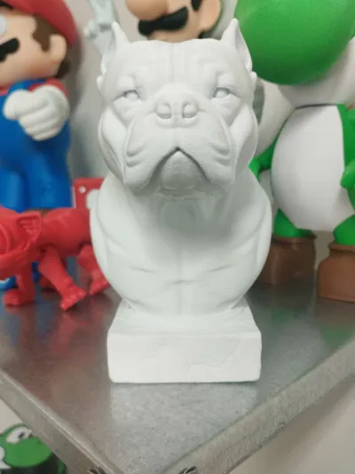 https://makerworld.bblmw.com/makerworld/model/1396446/1447558/ratings/6fee9960-3247-11f0-97a1-8d34122e556d.jpg