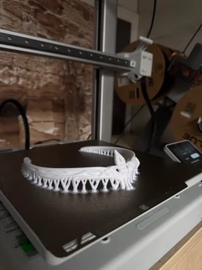 https://makerworld.bblmw.com/makerworld/model/1396465/1451466/ratings/3f6db090-3185-11f0-89d0-b329d0a04e79.jpg