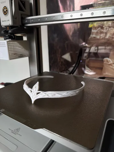 https://makerworld.bblmw.com/makerworld/model/1396465/1451466/ratings/3f71a830-3185-11f0-89d0-b329d0a04e79.jpg