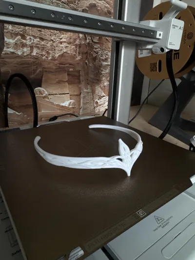 https://makerworld.bblmw.com/makerworld/model/1396465/1451466/ratings/3f8641a0-3185-11f0-89d0-b329d0a04e79.jpg
