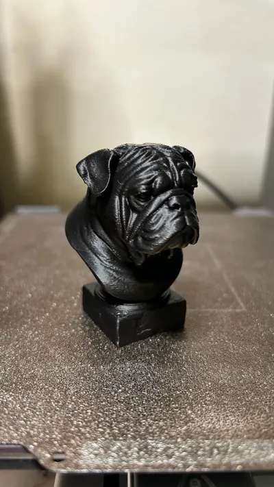 https://makerworld.bblmw.com/makerworld/model/1396567/1447685/ratings/9ec5fe90-c16c-11f0-b351-2576f825f2ab.jpg