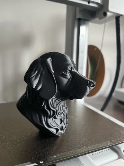 https://makerworld.bblmw.com/makerworld/model/1397058/1448252/ratings/dbd501c0-6706-11f0-90fd-b5f356356b90.jpg