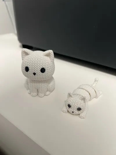 https://makerworld.bblmw.com/makerworld/model/1397464/1448713/ratings/137f5eb0-6b9c-11f0-b9d9-edf624949a1b.jpg
