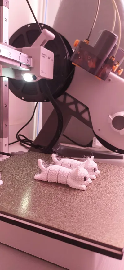 https://makerworld.bblmw.com/makerworld/model/1397464/1448713/ratings/6c60a750-8820-11f0-bb02-d7330410fac2.jpg