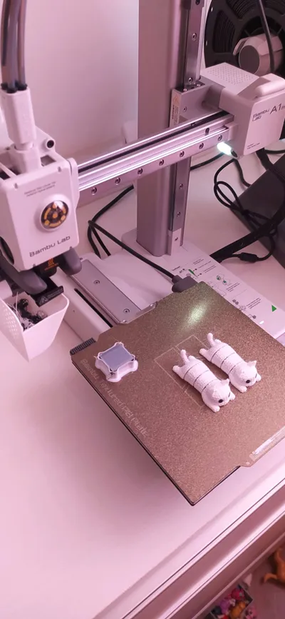 https://makerworld.bblmw.com/makerworld/model/1397464/1448713/ratings/6db058d0-8820-11f0-bb02-d7330410fac2.jpg