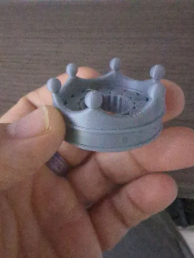 https://makerworld.bblmw.com/makerworld/model/1398148/1449652/ratings/4c509380-c614-11f0-87fd-572507fe3e25.jpg