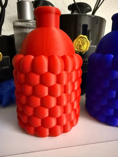 https://makerworld.bblmw.com/makerworld/model/1398484/1449887/ratings/6b3f3d20-7e2d-11f0-b295-e74829c5c31f.jpg