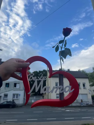 https://makerworld.bblmw.com/makerworld/model/1399383/1450922/ratings/bffeb950-7de5-11f0-970d-770dd3bc828d.jpg