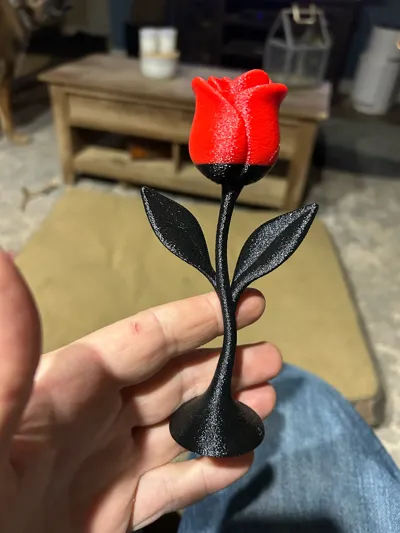 https://makerworld.bblmw.com/makerworld/model/1399738/1451331/ratings/5877a990-f7d4-11f0-96e6-b1e943709cd9.jpg
