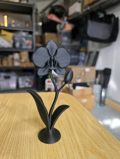 https://makerworld.bblmw.com/makerworld/model/1399759/1451355/ratings/80415570-dd21-11f0-b6b7-f7e8287a289c.jpg