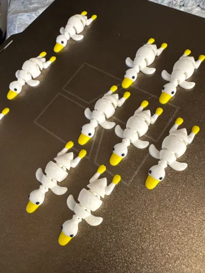 https://makerworld.bblmw.com/makerworld/model/1399848/1451465/ratings/e1196430-302b-11f0-a189-c769c6b06cd7.jpg