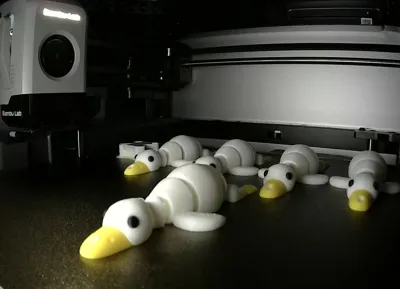 https://makerworld.bblmw.com/makerworld/model/1399848/1640031/ratings/015ff890-b97e-11f0-b9e5-9970f19f324e.jpg