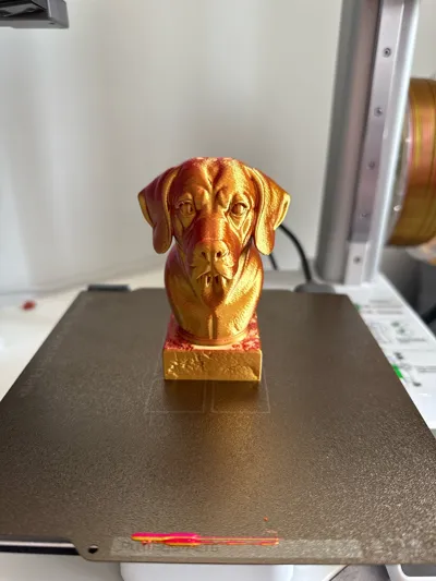 https://makerworld.bblmw.com/makerworld/model/1400131/1451856/ratings/d999ce10-4765-11f0-b45e-e521822f93bf.jpg