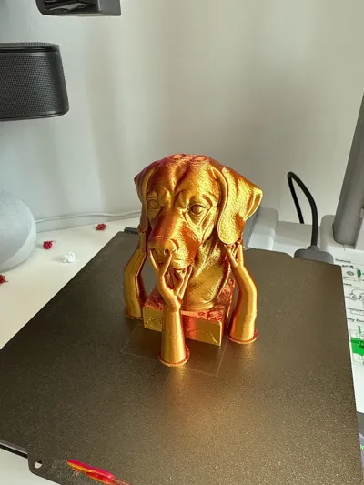 https://makerworld.bblmw.com/makerworld/model/1400131/1451856/ratings/d9b6f300-4765-11f0-b45e-e521822f93bf.jpg
