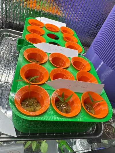 https://makerworld.bblmw.com/makerworld/model/1400373/1452154/ratings/1d118090-abd7-11f0-9f18-517f0e37c256.jpg