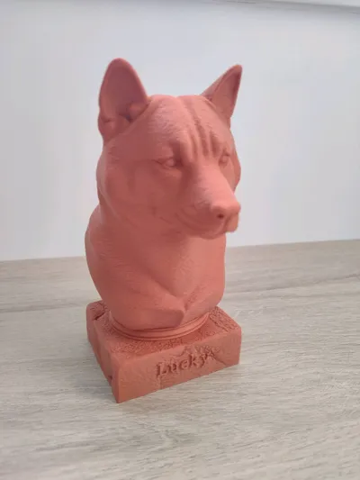 https://makerworld.bblmw.com/makerworld/model/1400663/1452549/ratings/826ab070-a20d-11f0-ad45-fb677aa119f9.jpg