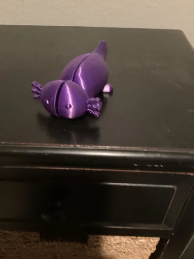 https://makerworld.bblmw.com/makerworld/model/1404755/1457418/ratings/5a6b9ff0-f427-11f0-904c-e1a6f3027bf1.jpg