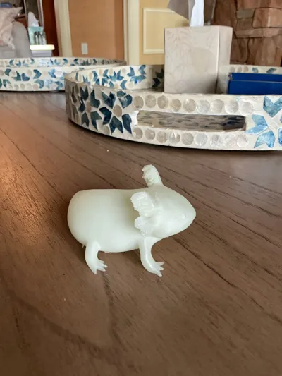 https://makerworld.bblmw.com/makerworld/model/1405114/1457837/ratings/32959870-3edb-11f0-947e-69505556badb.jpg