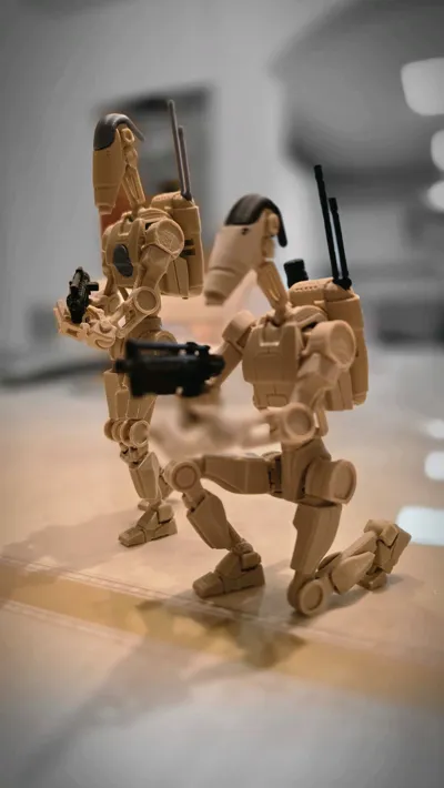 https://makerworld.bblmw.com/makerworld/model/1406181/1459093/ratings/4c65c210-74e7-11f0-8067-6dd495c337a1.jpg