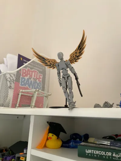 https://makerworld.bblmw.com/makerworld/model/1406577/1459562/ratings/be378af0-e15b-11f0-b1c6-d509eb4d43ce.jpg