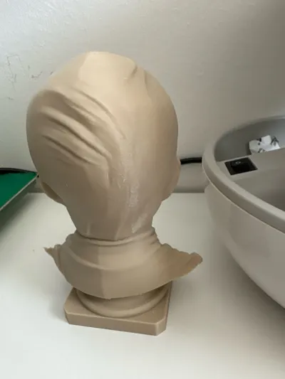 https://makerworld.bblmw.com/makerworld/model/1407933/1461164/ratings/82e08330-6d48-11f0-baec-4d36526a8366.jpg