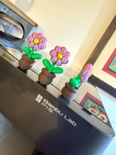 https://makerworld.bblmw.com/makerworld/model/1408451/1461762/ratings/e6aed2c0-1eca-11f1-9ada-cfb1ff2b81a7.jpg