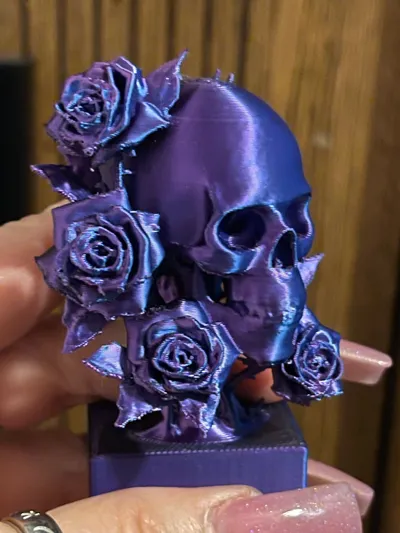https://makerworld.bblmw.com/makerworld/model/1410559/1478866/ratings/8cb2c970-cd8f-11f0-a6e8-3da798205eb8.jpg