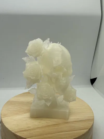 https://makerworld.bblmw.com/makerworld/model/1410559/1478866/ratings/9a613a90-e7dc-11f0-a7bc-93ba87100d2f.jpg